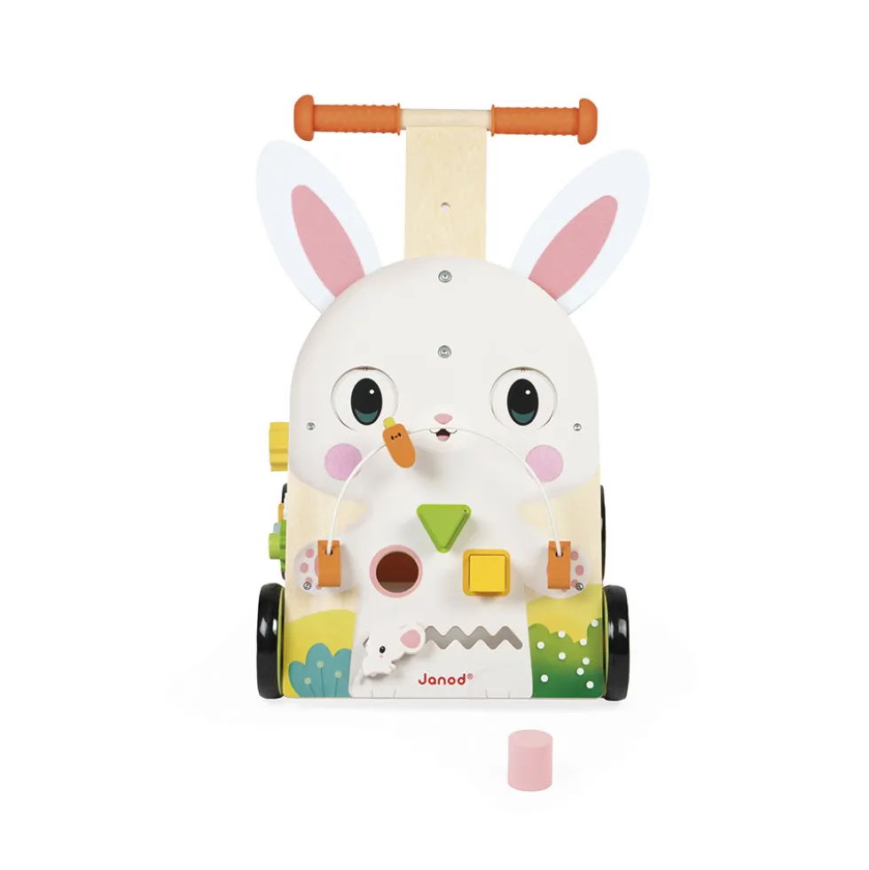 Farm Multi-Activity Baby Walker
