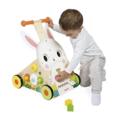 Farm Multi-Activity Baby Walker