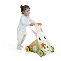 Farm Multi-Activity Baby Walker