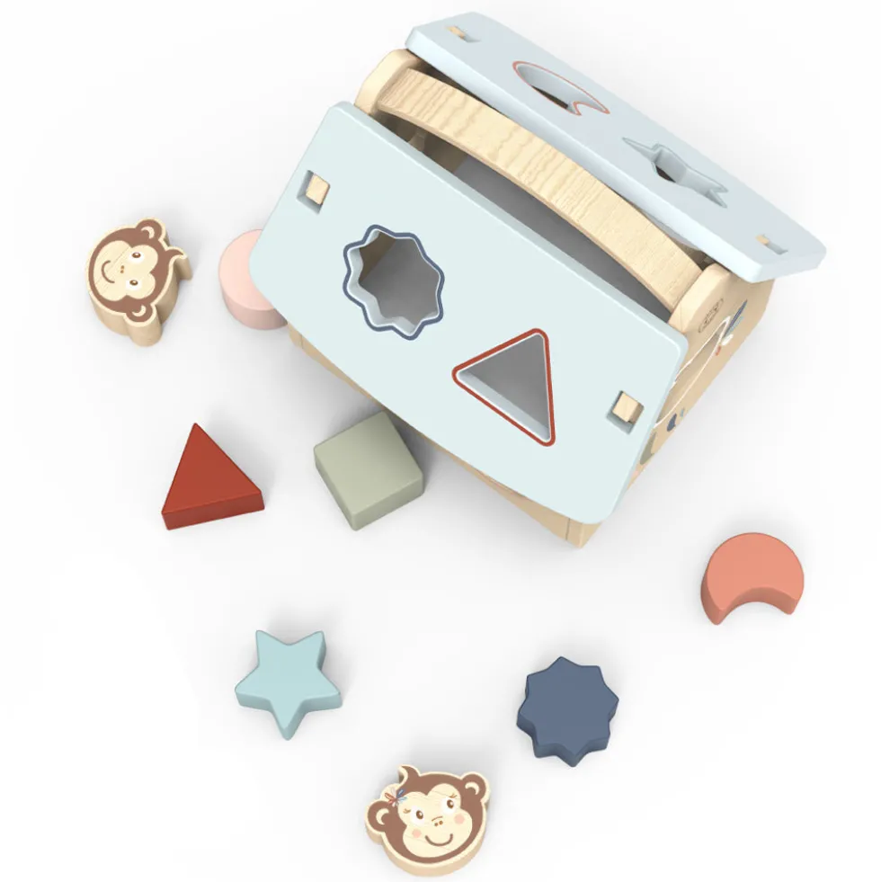 House Shape Sorter