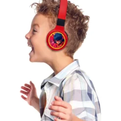 2 in 1 Bluetooth & Wired Foldable Headphones
