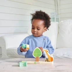 Infant Blocks Collection of Wood Toys