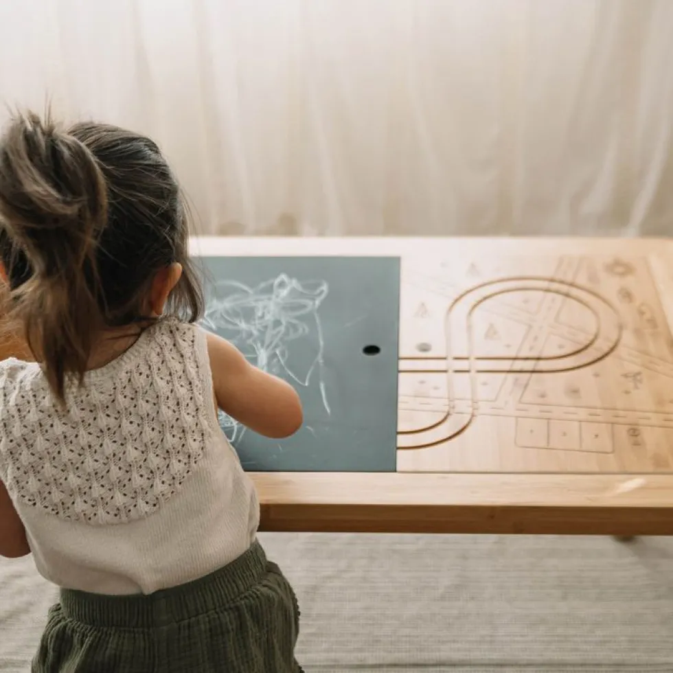 Land, Sand and Water Activity Learning Table