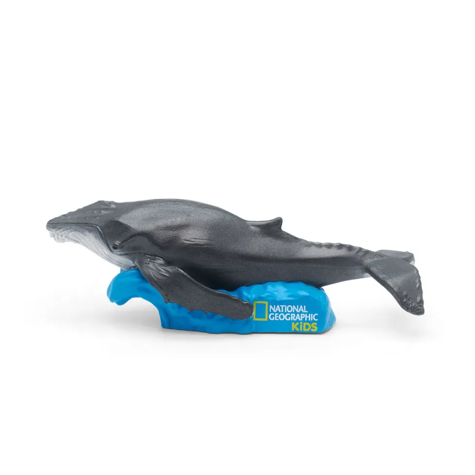 National Geographic Kids: Whale Tonie