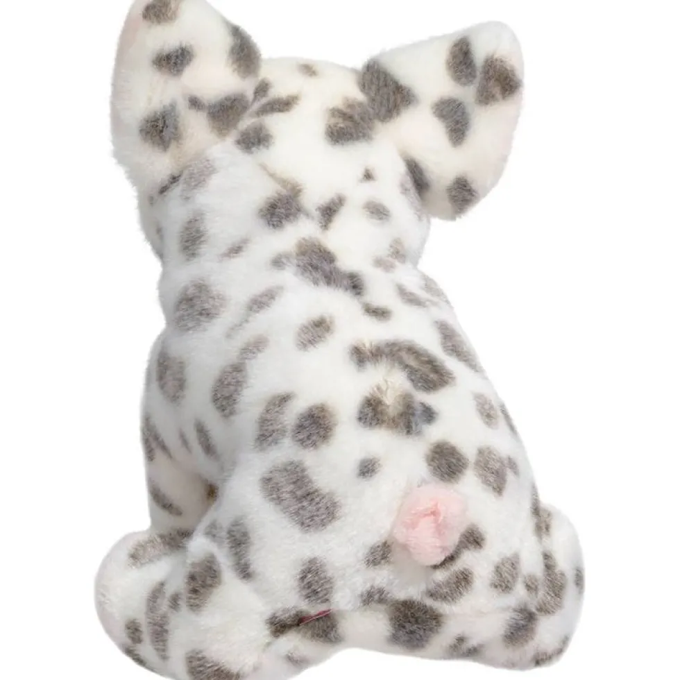 Pauline Black Spotted Pig