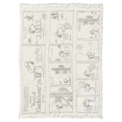 Peanuts Blanket Comic Dessert
