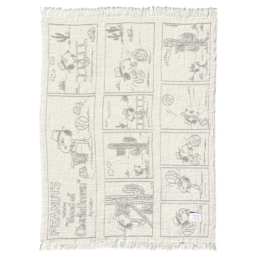 Peanuts Blanket Comic Dessert