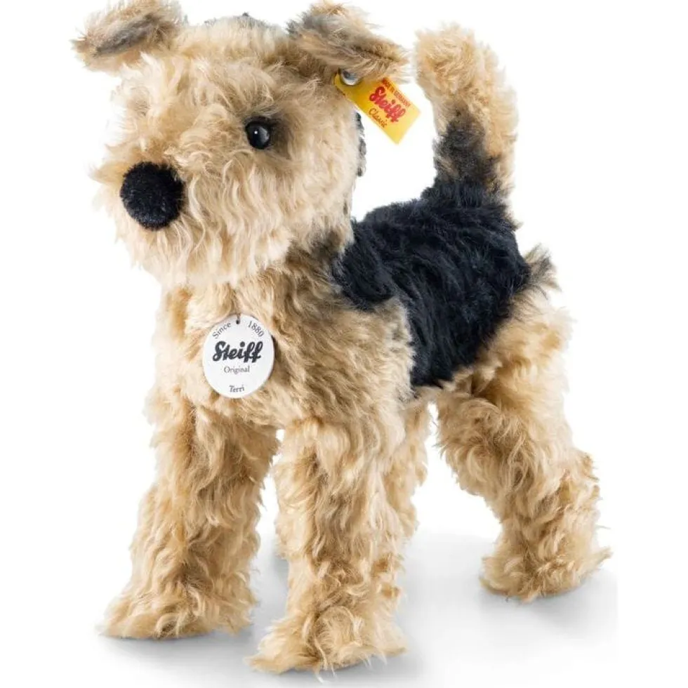 Terri Welsh Terrier
