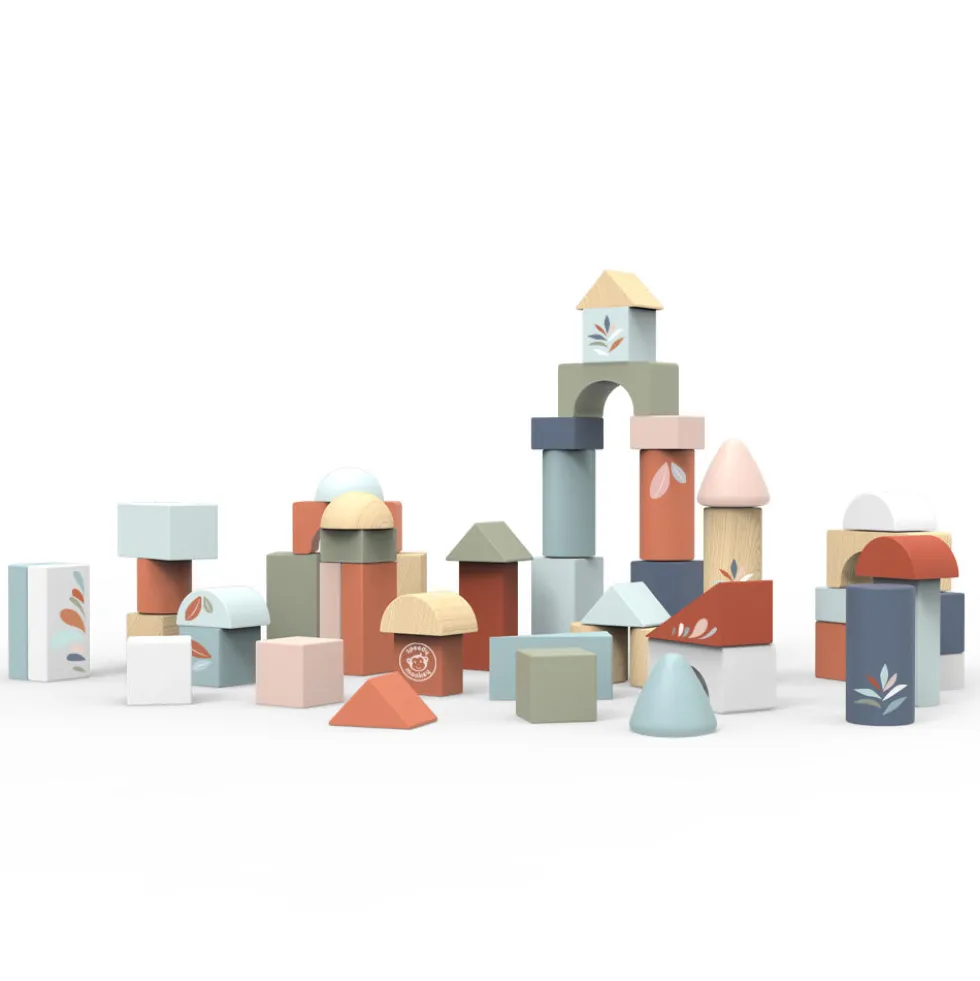 Wood Building Blocks Set of 50