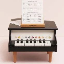Wooden Grand Piano Toy
