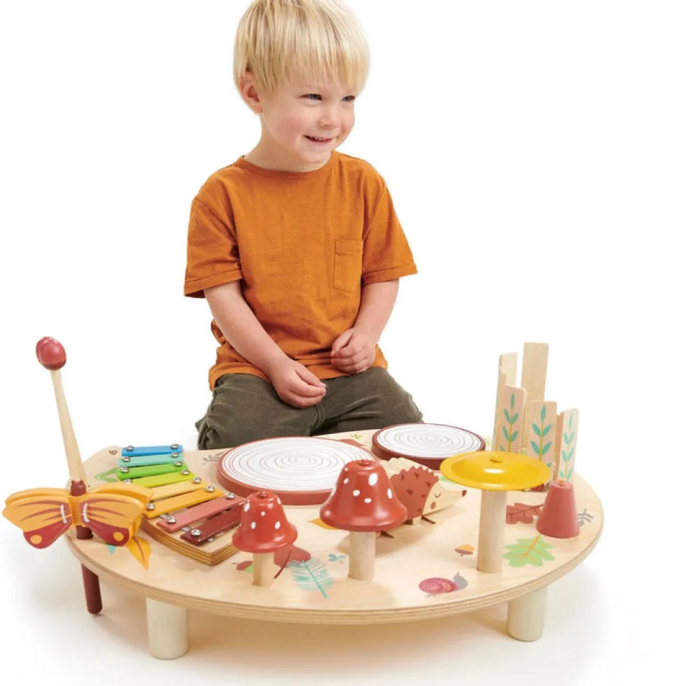 Wooden Musical Table Activity Toy